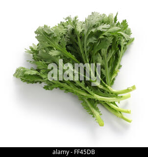 Krone, Daisy, Chop Suey grün, Shungiku, Chrysantheme Grüns isoliert auf weißem Hintergrund Stockfoto