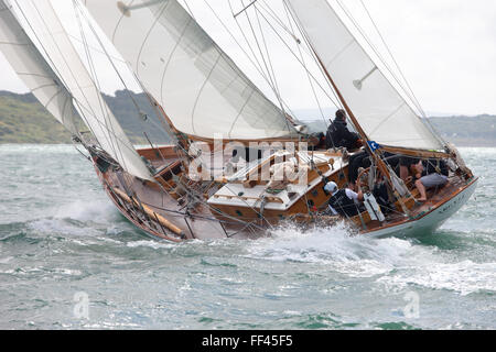 Panerai British Classic Week 2015 Stockfoto