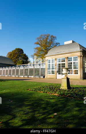 Die Pavillons, Sheffield Botanical Gardens, Sheffield, South Yorkshire, England, UK. Stockfoto