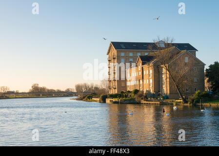 Das alte Mühlengebäude Fluss auf der Seite der Fluss Great Ouse St Ives Cambridgeshire UK, jetzt Wohnungen Stockfoto