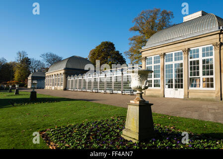 Die Pavillons, Sheffield Botanical Gardens, Sheffield, South Yorkshire, England, UK. Stockfoto