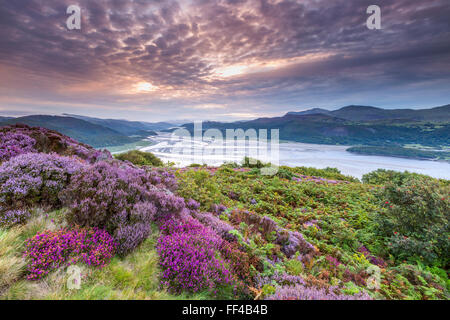 Mawddach Mündung von der Panorama-Walk über Barmouth, Gwynedd, Wales, Vereinigtes Königreich, Europa gesehen. Stockfoto