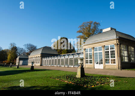 Die Pavillons, Sheffield Botanical Gardens, Sheffield, South Yorkshire, England, UK. Stockfoto
