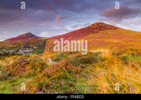 Yr eIFL.net, Llithfaen, Gwynedd, Wales, Vereinigtes Königreich, Europa. Stockfoto