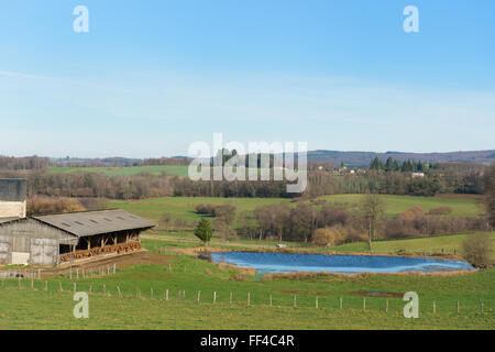 Französischen Landschaft Limousin mit Kühen im Stall Stockfoto