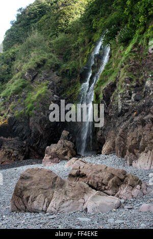 Wasserfall in Felswand in Clovelly ein kleines Dorf in der Devon District Torridge Stockfoto