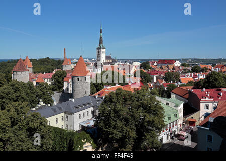 Blick von einer Aussichtsplattform über die alte Stadt von Tallinn, Estland in Richtung St. Olafs-Kirche. Stockfoto