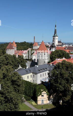 Blick von einer Aussichtsplattform über die alte Stadt von Tallinn, Estland in Richtung St. Olafs-Kirche. Stockfoto