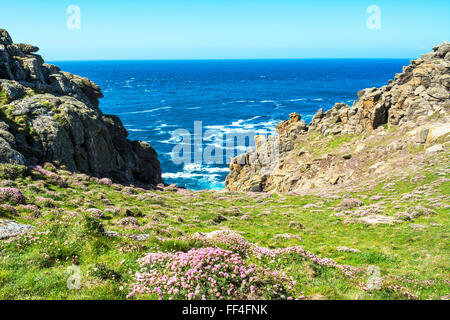 Gwennap Kopf in der Nähe von Lands End in Cornwall, England, UK Stockfoto