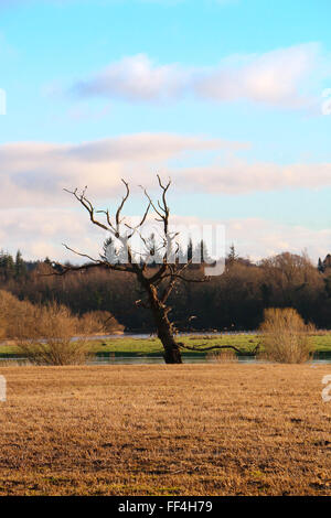 Schottische Winterlandschaft. Stockfoto