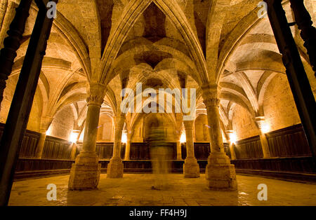 Kapitelsaal, Zisterzienserkloster Fitero, Navarra, Spanien Stockfoto