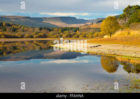 Pontsticill Stausee, Brecon Beacons, Wales im Herbst. Stockfoto