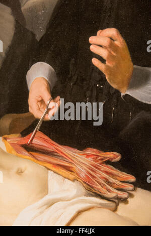 Detail der Anatomie Unterricht Dr. Tulp rembrandt Stockfoto