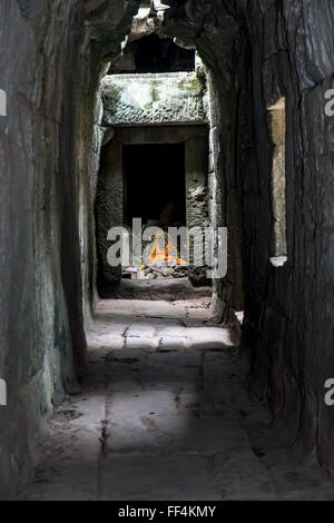 Korridor Khmer Tempel Ta Prohm Stockfoto