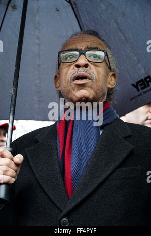 Washington, Halbin Columbia, USA. 3. Februar 2016. Al Sharpton, Präsident der National Action Network, befasst sich mit die Menge, die für eine Mahnwache für die Opfer der Wasserkrise Flint gesammelt. © Joel Plummer/ZUMA Draht/Alamy Live-Nachrichten Stockfoto