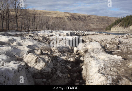 Eis und Schnee am Ufer des Bow River im Glenbow Ranch Provincial Park (Alberta, Kanada). Stockfoto