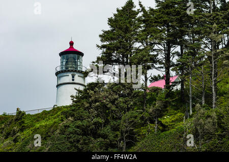 Heceta Head Leuchtturm an der Küste Oregons Stockfoto