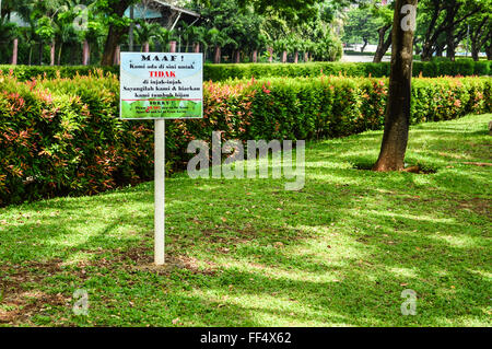 Grüner Garten Stockfoto