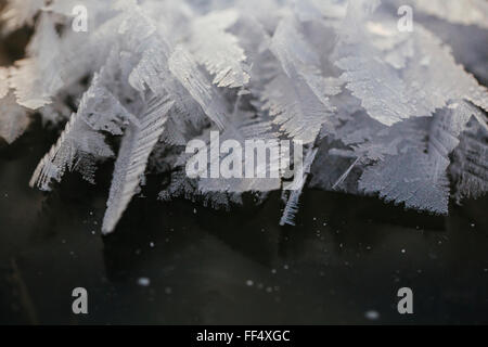 Rauhreif formen Feder-wie Kristalle auf der Eisoberfläche von Patricia Lake im Jasper Nationalpark früh in der sub-zero Kanadischen Klima im Winter. Stockfoto