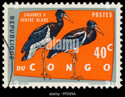 Demokratische Republik Kongo - ca. 1963: eine Briefmarke gedruckt in Kongo zeigt schwarzen Storch (Ciconia Nigra) Stockfoto