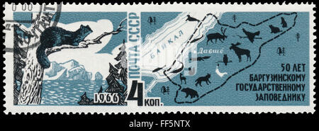 UdSSR - ca. 1966: eine Briefmarke gedruckt in USSR zeigt Zobel und Baikalsee Stockfoto