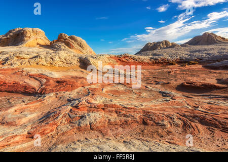 Die Fläche von White Pocket auf dem Paria Plateau im nördlichen Arizona Stockfoto