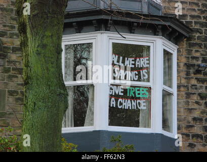 Ein Protest anmelden das Fenster eines Hauses in Gefunden Road, Sheffield lautet "Alle sagen wir Bäume ist eine Chance zu geben, "Yorks. Großbritannien Stockfoto