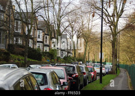 Von Bäumen gesäumten Rascheln Road mit Blick auf Endcliffe Park (r) in Sheffield, South Yorkshire UK Stockfoto