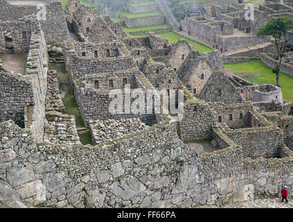 Nebligen Morgen - Machu Picchu Stockfoto