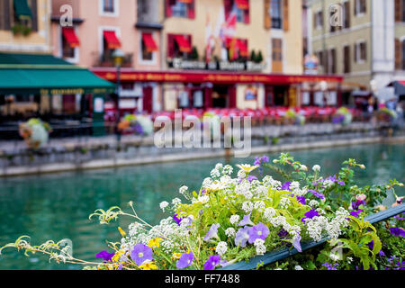 Blumen über die Kanäle in Annecy Stockfoto