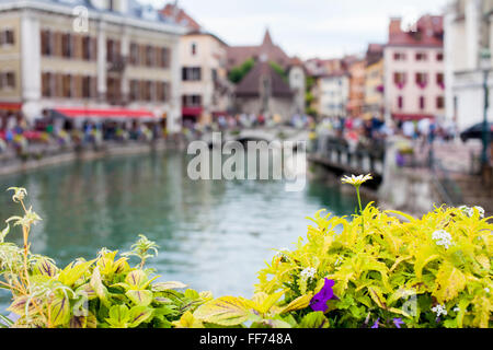 Blumentopf über die Kanäle in Annecy, Frankreich Stockfoto