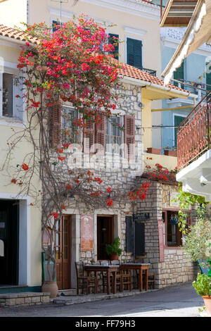 Gaios, Paxos, Ionische Inseln, Griechenland. Typisches Café in Bougainvillea bedeckt. Stockfoto