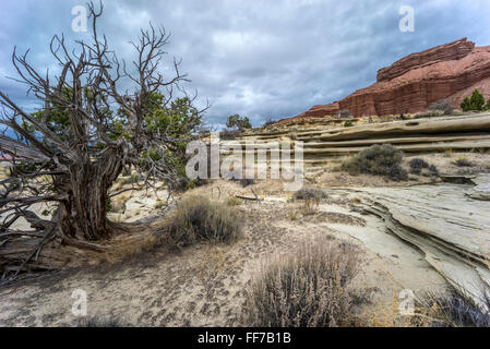 Landschaft im südlichen Utah an bewölkten Tag Stockfoto