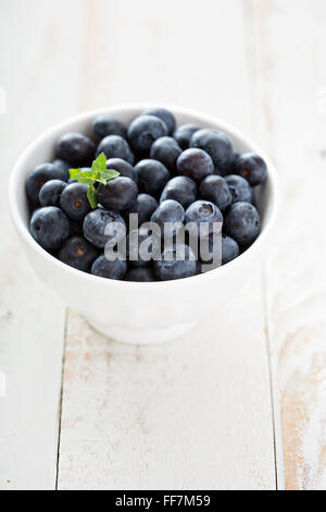 Frische Heidelbeeren in einer Schüssel weiß Stockfoto