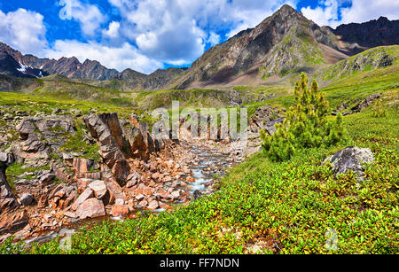 Gebirgsfluss in den Canyon und grünen Teppich der Rhododendron am Hang. Ost-Sibirien Stockfoto