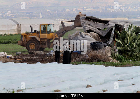 Tuben, Westjordanland, Palästinensische Gebiete. 11. Februar 2016. Israelische Bulldozer zerstören palästinensische Häuser im Jordan-Tal in der Nähe von West Bank Stadt von Tubas am 11. Februar 2016. Israel plant, im Jordan-Tal in einer völlig israelische Gegend, vor allem in der Landwirtschaft, Anhang zum Verbot von territorialen Kontiguität zwischen eines künftigen palästinensischen Staates und dem Rest der arabischen Welt Kredit targeting: Nedal Eshtayah/APA Bilder/ZUMA Draht/Alamy Live News Stockfoto