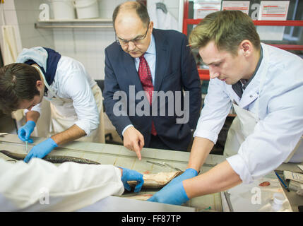 Hamburg, Deutschland. 11. Februar 2016. Laboranten Jan-Dag Pohlmann (L) und Marko Freese (R) zeigt einen Aal zu deutschen Minister für Lebensmittel- und Agriculture Christian Schmidt (C) in das Stadtsystem Fischerei Ökologie Institut in Hamburg, Deutschland, 11. Februar 2016. Foto: LUKAS SCHULZE/Dpa/Alamy Live News Stockfoto