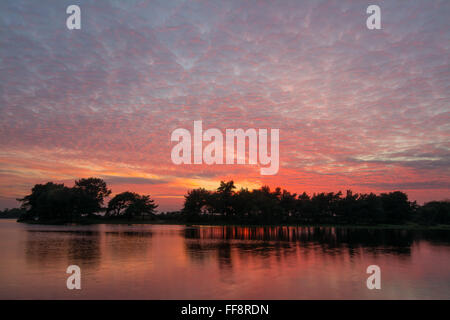 Farbenfrohe Sonnenuntergänge mit Makrelenhimmel und Reflexionen am Hatchet Pond in der Nähe von Beaulieu im New Forest, Hampshire, England, Großbritannien Stockfoto