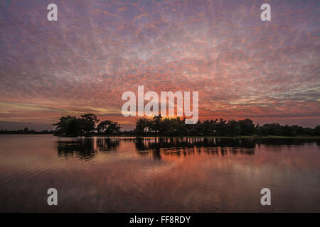 Farbenfrohe Sonnenuntergänge mit Makrelenhimmel und Reflexionen am Hatchet Pond in der Nähe von Beaulieu im New Forest, Hampshire, England, Großbritannien Stockfoto