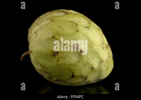 Frische Custard Apple auf schwarzem Hintergrund isoliert Stockfoto
