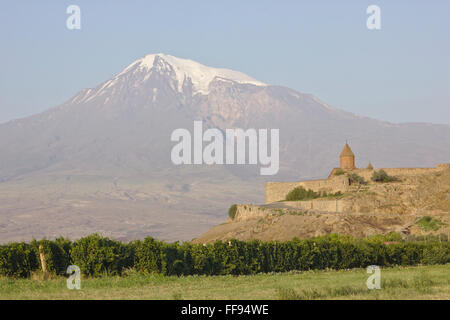 Kloster Khor Virap, Armenien, vor dem Berg Ararat, Türkei, Morgenlicht Stockfoto