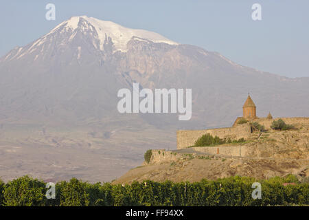 Kloster Khor Virap, Armenien, vor dem Berg Ararat, Türkei, Morgenlicht Stockfoto