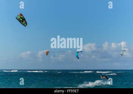Kiteboarder, Cabarete Strand, Nordküste, Dominikanische Republik Stockfoto