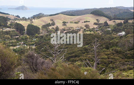 Auf der Driving Creek Railway und Potteries.View von Eyefull Turm, nr Coromandel Town, Coromandel Halbinsel, North Island, Neuseeland, Stockfoto