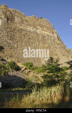 Basaltsäulen "Symphony of Stones" Garnia, Armenien, Kaukasus Stockfoto