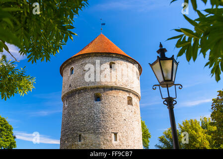 Tallinn, Estland am Kiek In De Kok Turm. Stockfoto