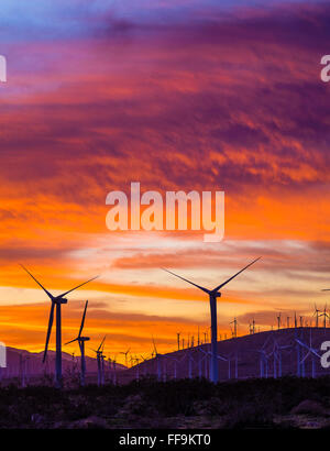 Bauernhof Windenergieanlagen auf Berggipfeln bei Sonnenuntergang von Palm Springs, Kalifornien. Stockfoto