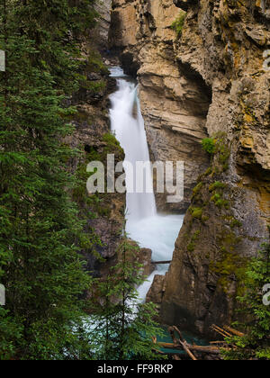 Lower Falls entlang Johnston Creek, Johnston Canyon; Banff Nationalpark, Alberta, Kanada. Stockfoto