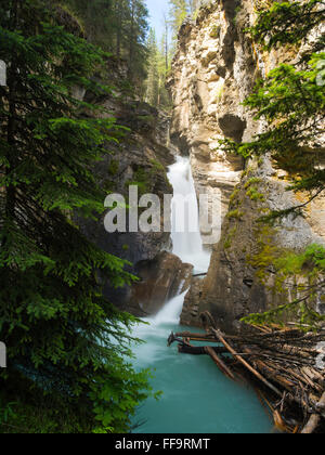 Lower Falls entlang Johnston Creek, Johnston Canyon; Banff Nationalpark, Alberta, Kanada. Stockfoto