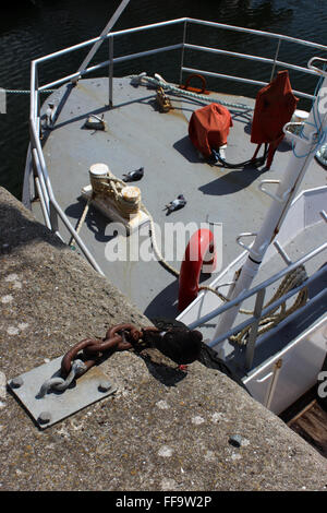 Angelboot/Fischerboot in Milford Haven Marina Pembrokeshire Stockfoto